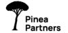 Development & Advisory